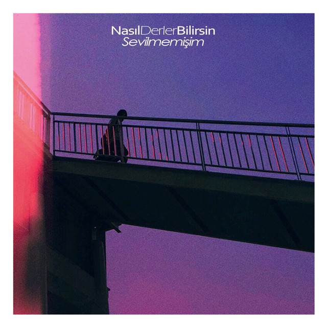 Sevilmemişim cover art
