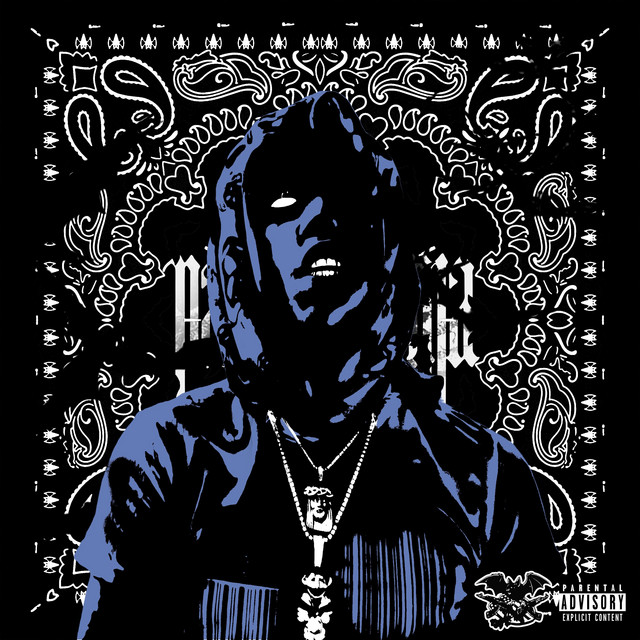 I Hate Niggas album image