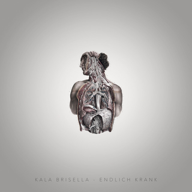 Endlich Krank cover art