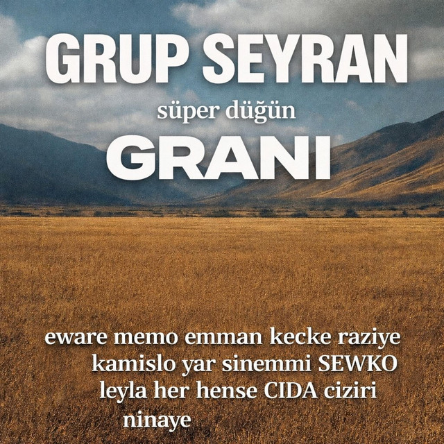 【廃盤】Music for the ceremony PEVO GAZIO süper dügün grup seyran GRANI eware memo emman kecke raziye