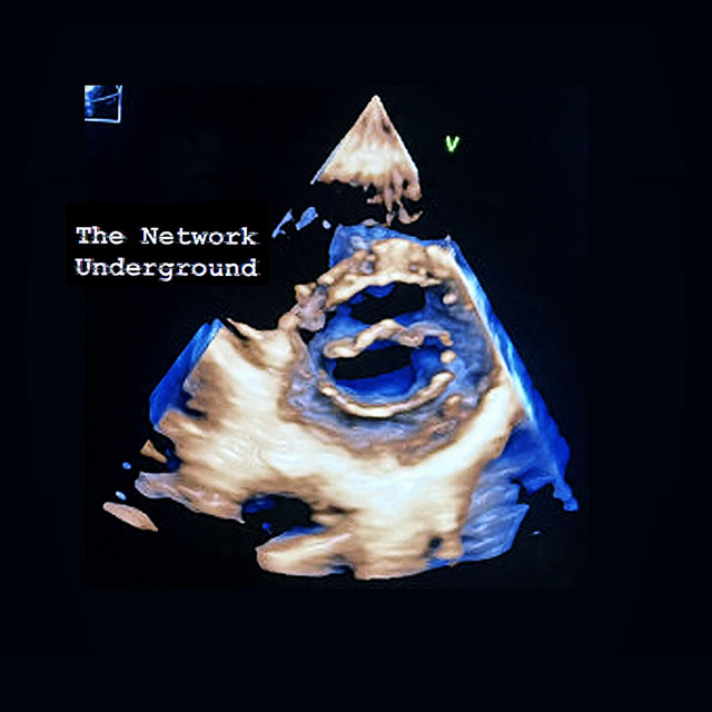 The Network Underground cover art