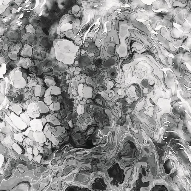 Aerial: White Noise Studies cover art