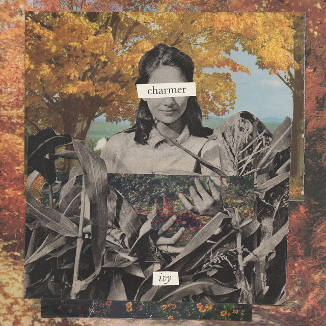 ivy cover art