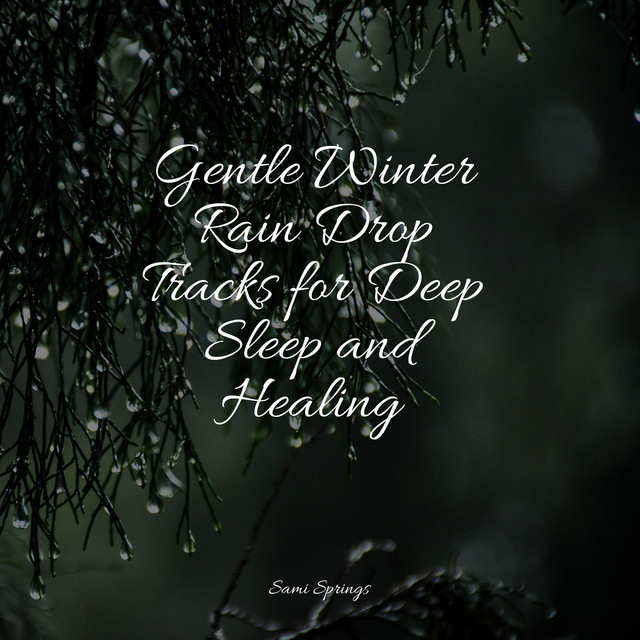 Gentle Winter Rain Drop Tracks for Deep Sleep and Healing - Album by ...