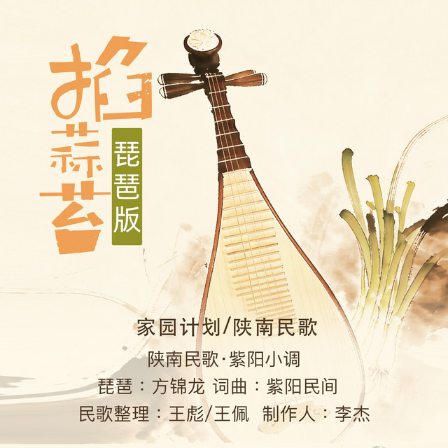 掐蒜苔(琵琶版) album image
