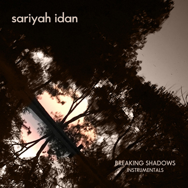 Breaking Shadows Instrumentals cover art