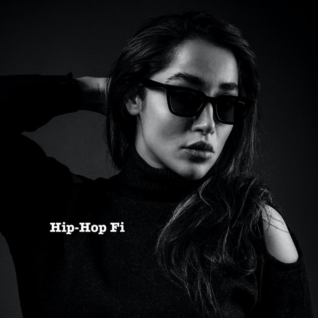 Hip-Hop Fi cover art