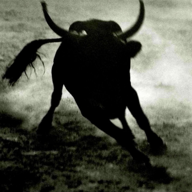TOREADOR