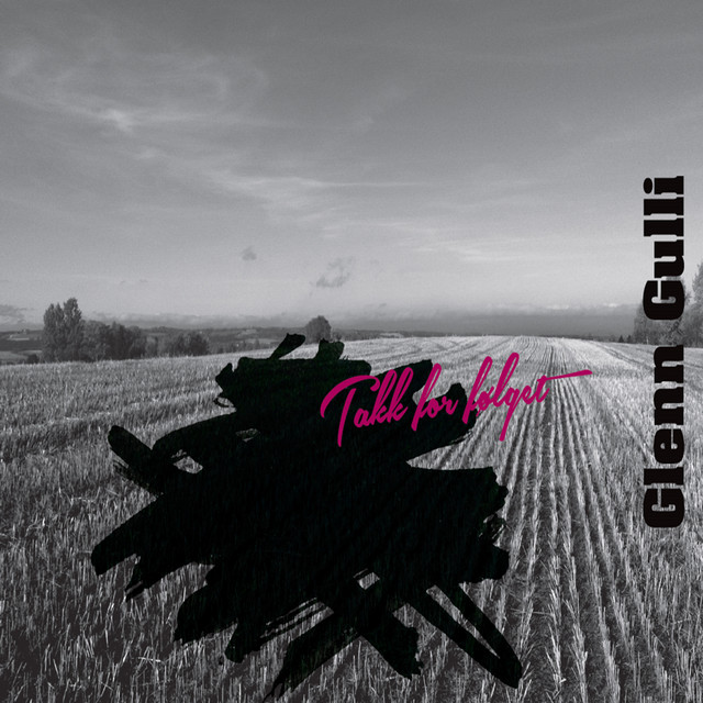 Takk for følget cover art
