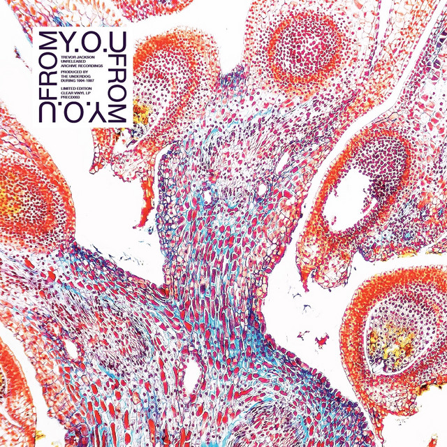 You cover art