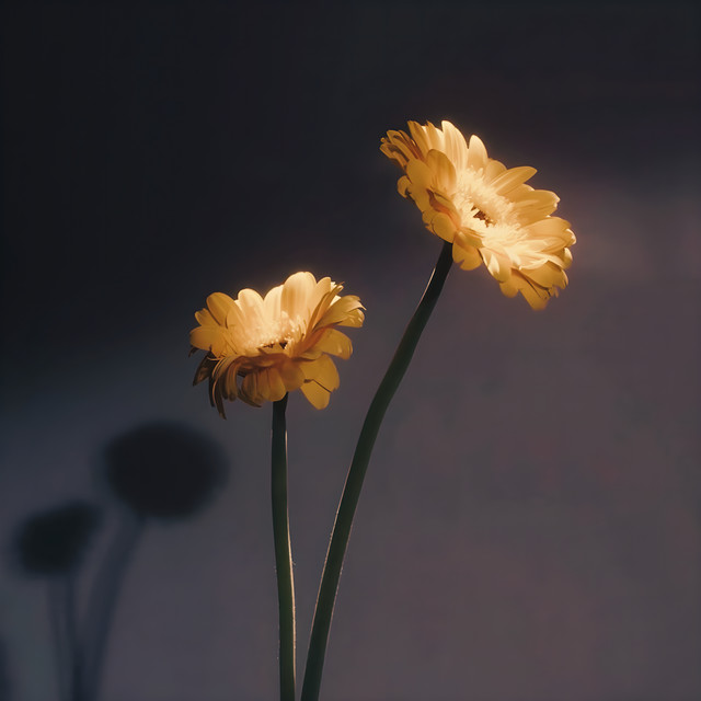 Cover of So Easy by ROMANTIK.