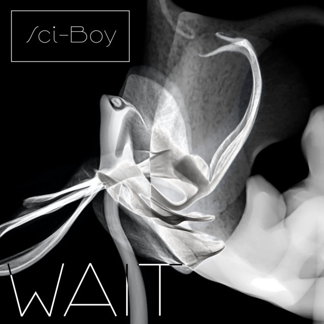 Wait cover art