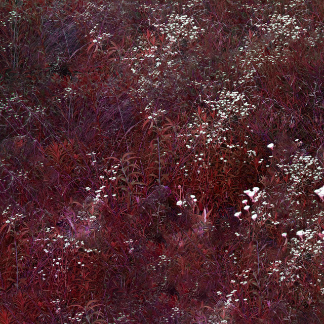 Tiltstrumentals cover art