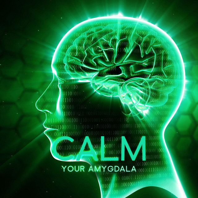 Calm Your Amygdala: Cure Anxiety Panic Attacks Naturally, Brainwave Frequencies, Amygdala Music cover art