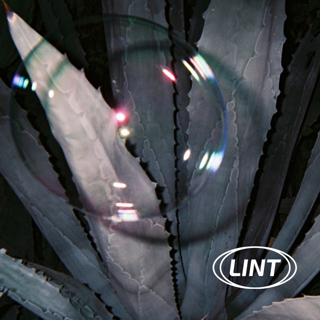Lint cover art