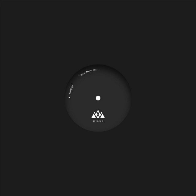 Flashlight cover art