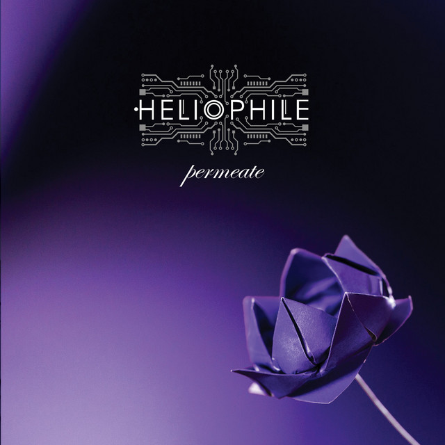 Heliophile Photo