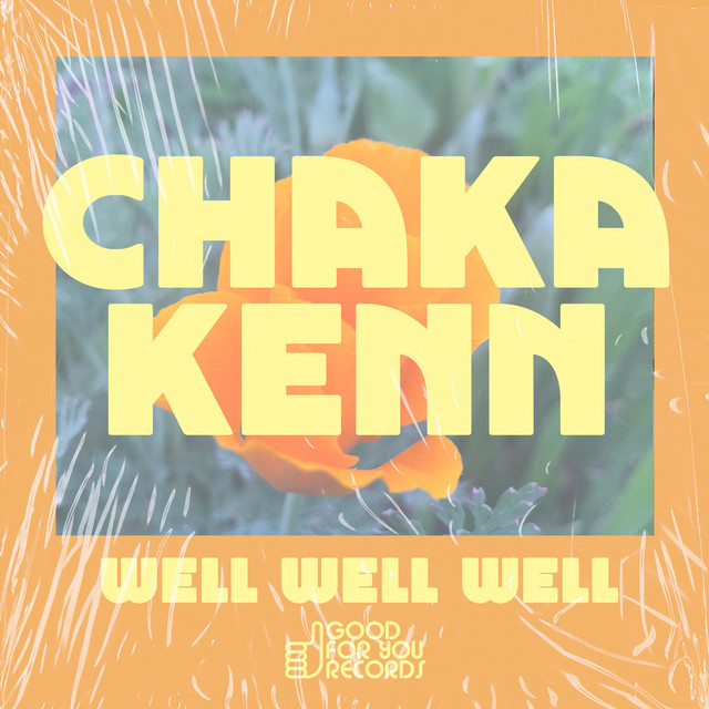 Well Well Well album art
