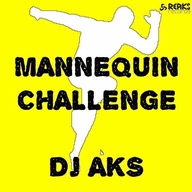 Mannequin Challenge cover art