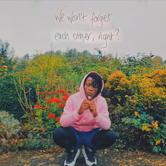 We Won't Forget Each Other, Right? cover art