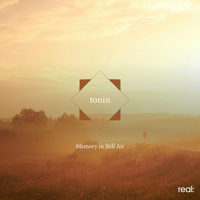 Memory in Still Air cover art