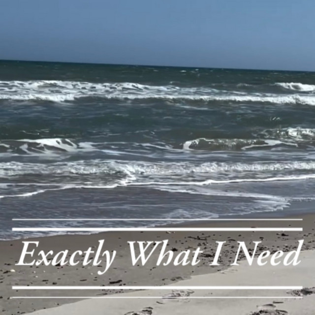 Exactly What I Need cover