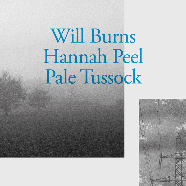 Pale Tussock cover art