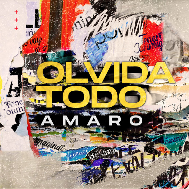 Olvida todo cover art