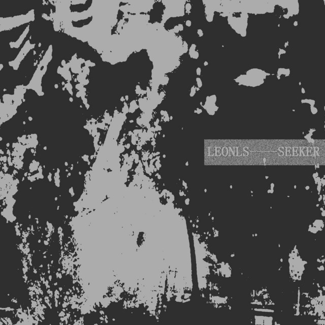 Seeker cover art