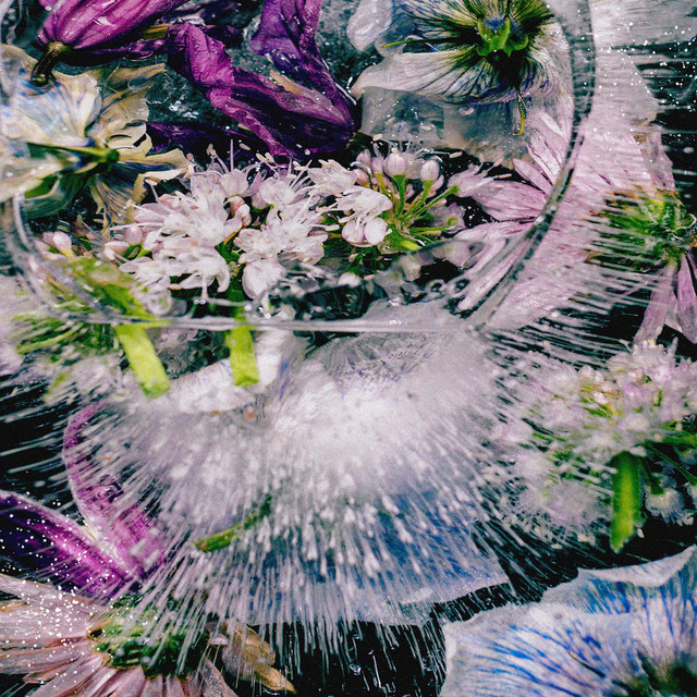 we're dying (Remix Pack) cover art