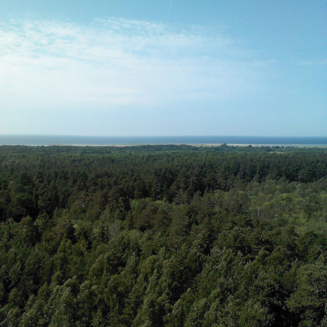Väljasõit cover art