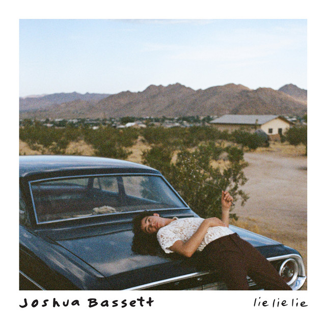 Lie Lie Lie cover art