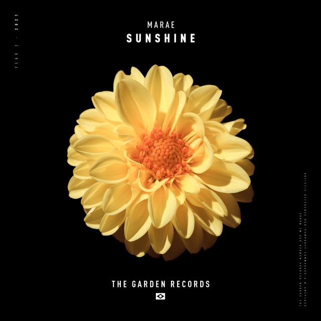 Sunshine cover art