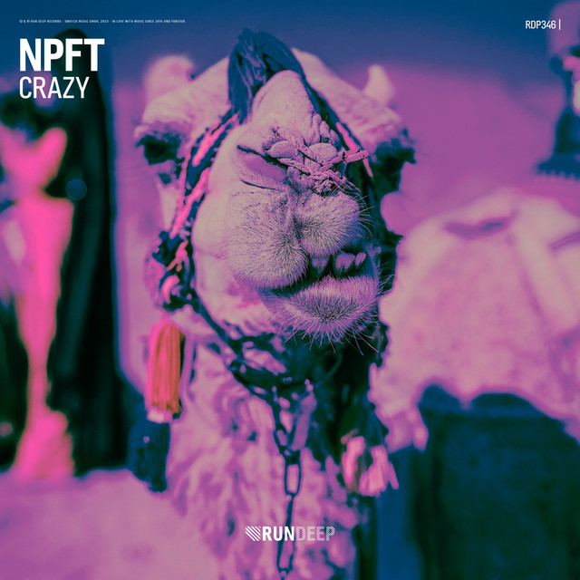 Crazy cover art