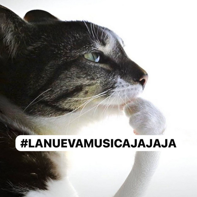 #LANUEVAMUSICAJAJAJA cover art