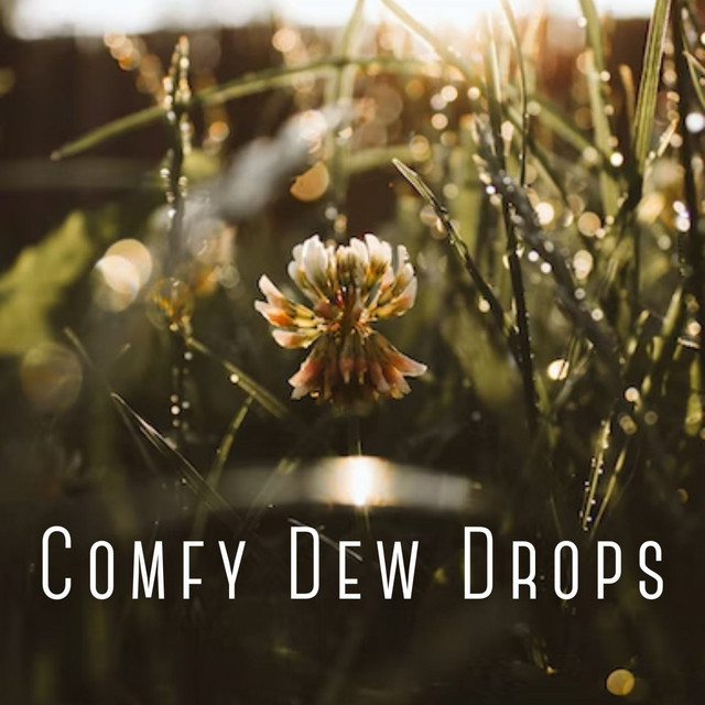 Comfy Dew Drops cover art