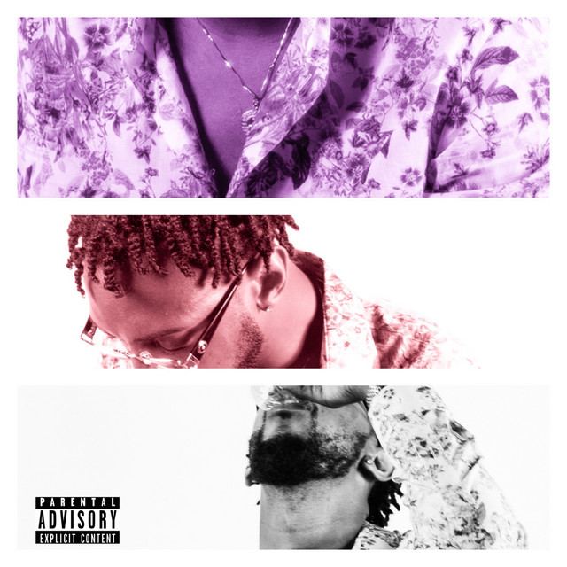 Vista cover art