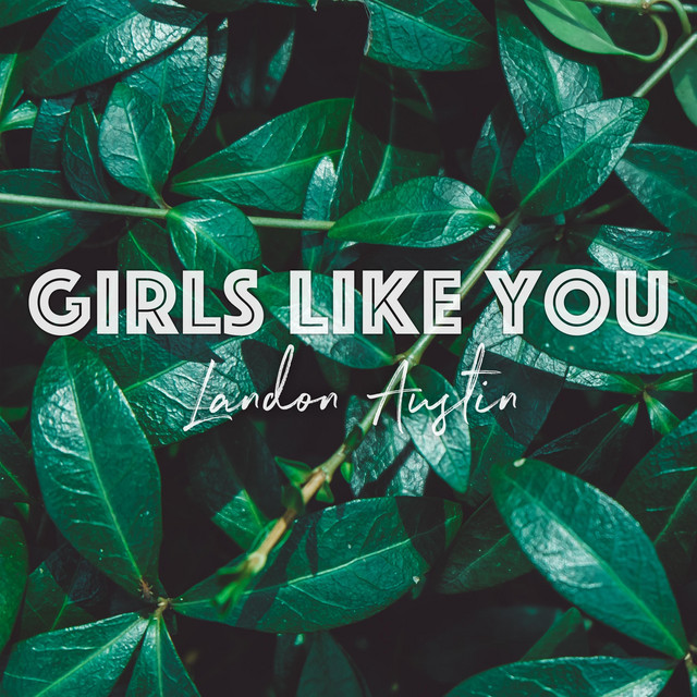 Girls Like You Acoustic song and lyrics by Landon Austin Spotify