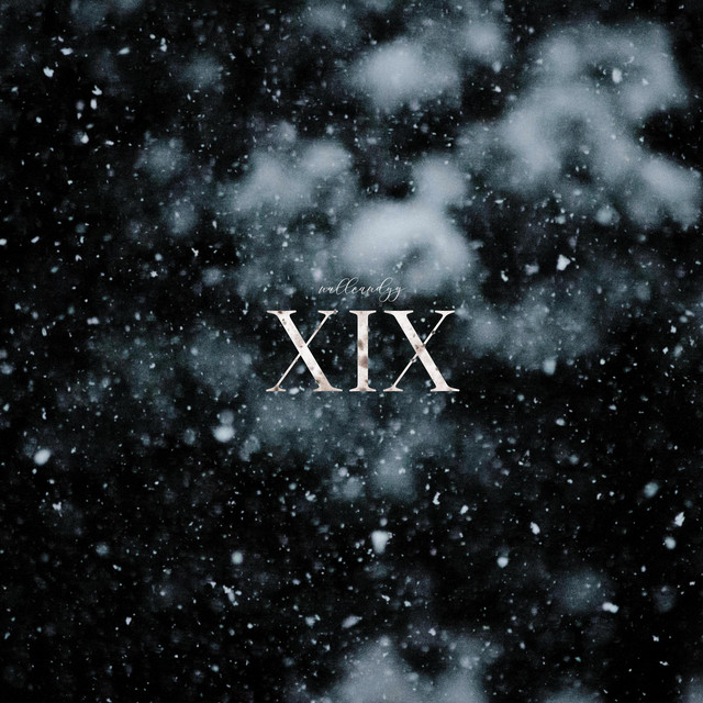 XIX cover art