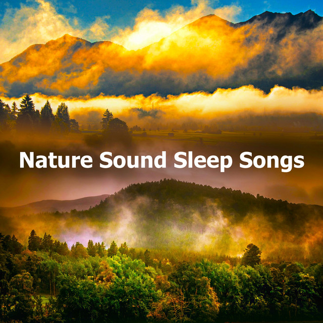 Nature Sound Sleep Songs - Album by Sleep Songs With Nature Sounds ...