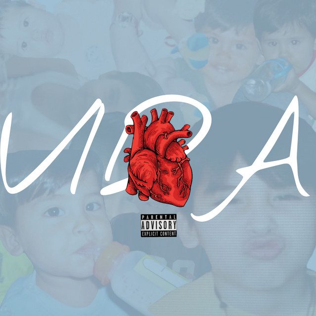 Vida cover art