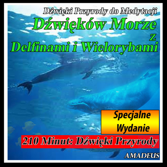 Dźwięki Przyrody do Medytacji: Dźwięków Morze z Delfinami i Wielorybami: Specjalne Wydanie cover art