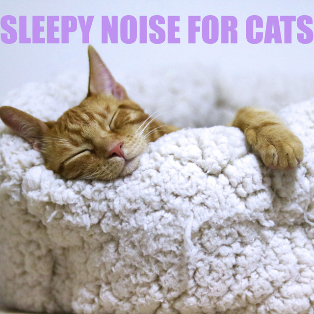 Sleepy Noise for Cats cover art