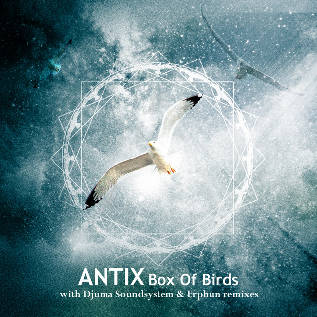 Box of Birds - Erphun "Let The Birds Free Dub" cover art