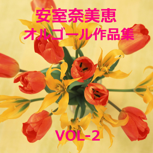 Don't wanna cry Originally Performed By 安室奈美恵 - song and