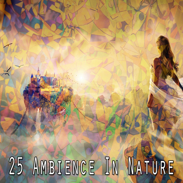 25 Ambience In Nature - Album by Pet Care Music Therapy | Spotify