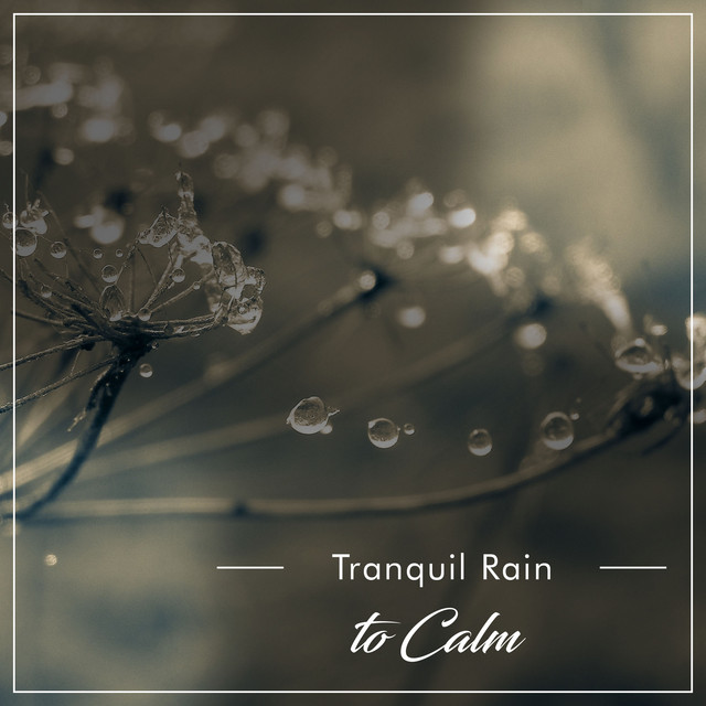 #20 Tranquil Rain Album to Calm the Mind & Relax cover art