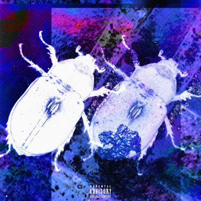 Network cover art