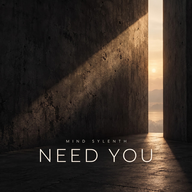 Need You cover
