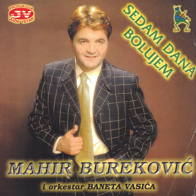 Sedam dana bolujem cover art